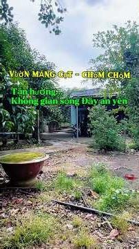 Vườn măng cụt, chôm chôm, vuông vức 3.318m2 sẵn 120 thổ cư #batdongsan