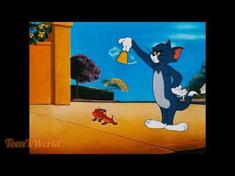Tom et Jerry version française | Cartoon drôle #chat #souris #dessinanimé