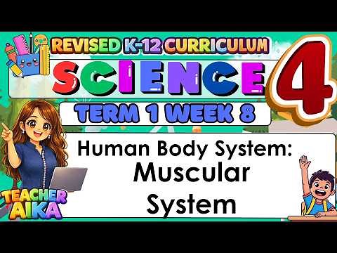 Grade 4 Science – Term 1 Week 8 Human Body System: Muscular System