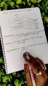 171 reactions · 27 shares | Knowledge about "Skin Layers" by Rimpa Basak #makeupadviser of Professional Makeup Hub For more knowledge like & follow our page. 殺Thanks for your support | Professional Makeup Hub | Facebook