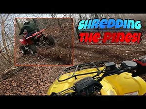 Shredding the Pines! Two ATV Riders Take on the Mountain Trails