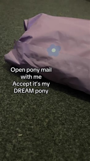 Pony mail with me dream pony #ponymail #derpy #mlp #figuresg4 #Mylittlepony