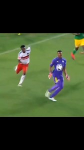 Oscarine Masuluke is a South African professional footballer who plays as a goalkeeper for South African Premier Division club Stellenbosch. On 30 November 2016, Masuluke gained attention after his last-minute bicycle kick goal earned Baroka a 1–1 draw with the Orlando Pirates. | Luthor_Tv