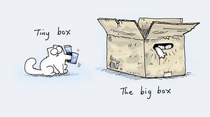 So many boxes… So many choices! What’s your cat’s favourite? | Simon's Cat