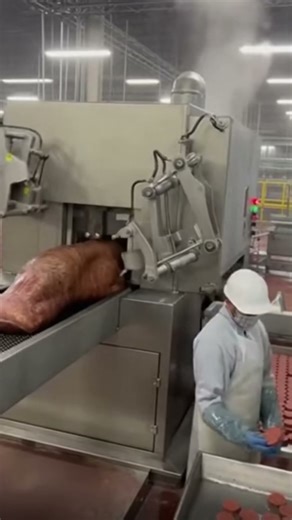 Automated Processing Logic From Input to Final Output