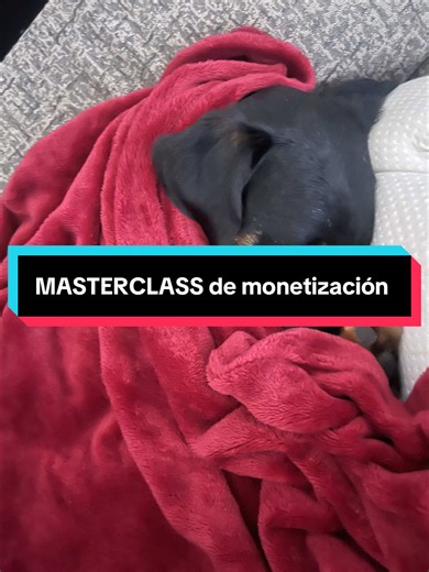 ¡YA ESTÁ TODO LISTO! 🤩