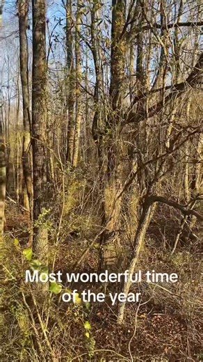 The great outdoors!! | Eric Webster