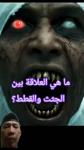 What is the relationship between corpses and cats? #islam #viral #quran