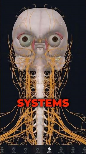 Proprioception = Your Body’s GPS 🧭