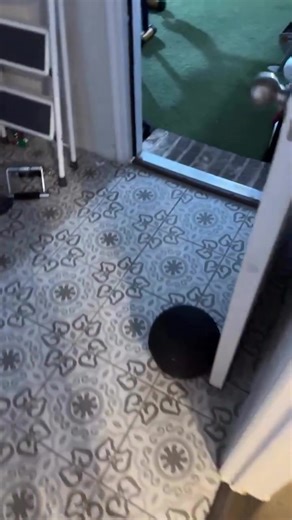 Hombro Gym: Tu Motivación de Entrenamiento