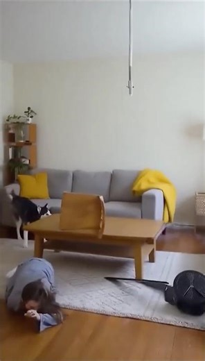 How to Repair A Ceiling Fan