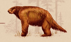 Kids find fossil from giant Ice Age sloth in Santa Cruz Mountains