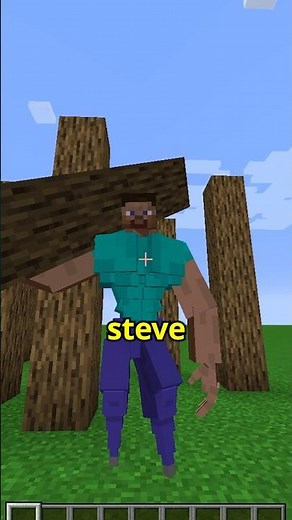 THE ZOMBIE CAN BREAK BEDROCK