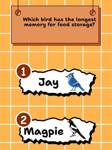 Which bird has the longest memory for food storage? #quizrecess #quizchallenge #animalquiz #questionoftheday #dailyquiz