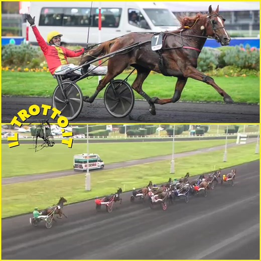 12K views · 243 reactions | PRIX DE BRETAGNE: JOSH POWER METTE IN...