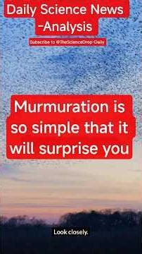 Murmuration - “What controls this? #science #facts