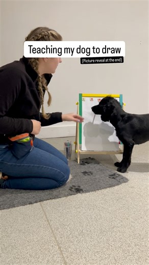 1.4K views · 37 reactions | A fun video for a gloomy Wednesday…...