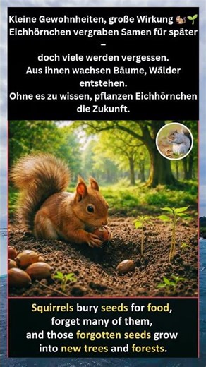 Wie Eichhörnchen heimlich Wälder pflanzen 🌳🐿️ | Unglaubliche Natur