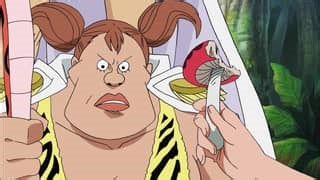 One Piece | E408 - Landing! The All-Female Island, Amazon Lily