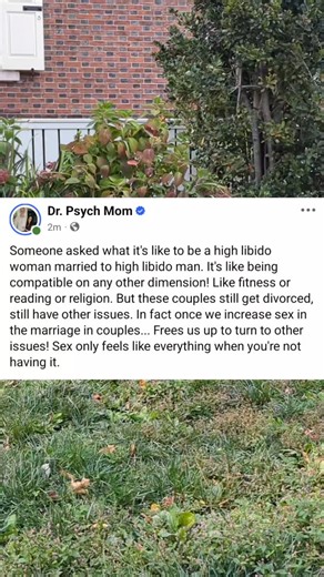 73 reactions · 3 comments | Someone asked in secret group what it's like to be a high libido woman married to high libido man. It's like being compatible on any other dimension! Like fitness or reading or religion. But these couples still get divorced, still have other issues. In fact once we increase sex in the marriage in couples... Frees us up to turn to other issues! Sex only feels like everything when you're not having it. | Dr. Psych Mom | Facebook