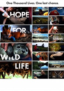 Hope for Wildlife - streaming tv show online