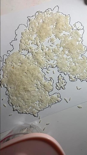 Making a rice map #map #rice #art #cute #creative