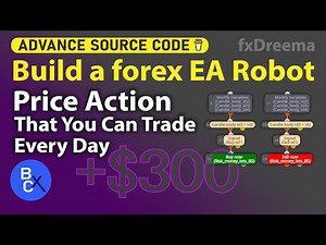 Build a forex EA Robot - Price Action Strategies That You Can Trade Every Day (Risk Management⚡)