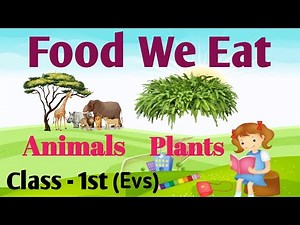 The food we eat class 1 science | Class 1 Evs | Food we eat | our food | Environmental Science