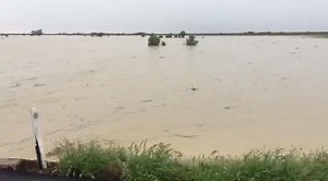 There is a brown ocean between Hughenden and Richmond this morning! The Flinders HWY between the 2 towns is closed due to flooding. Video sent to HSC by Rebecca Poynton. ***Not for media use, licensing available direct from the content creator*** | Higgins Storm Chasing