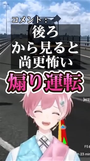 ウィンカーでハザードの代用をするVtuber