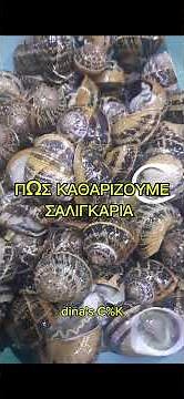 ΣΑΛΙΓΚΑΡΙΑ (Πως τα πλύνουμε για να τα μαγειρέψουμε) #snails #howtoclean #food