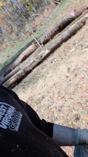 Hoagy Carmichael on Reels