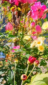 Mesmerizing view | Din E Islam