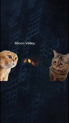 Bakchod Billa No.1 on Instagram: "Meow Meow at his best . . #memesdaily #memes #bakchod_billa_001 #catmeme #cats #cat #catmemes #catsofinstagram #meme #catlovers #catlife #catstagram #instagram #catlover #funnycat #memehumor #cursedcats #ronaldo #darkhumor #germanshepherd #taylorswift #hair #cooking #marvel #netflix #amazon #googleanalytics"