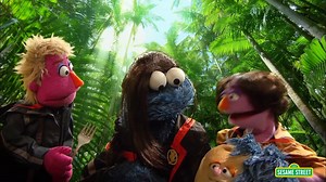 Sesame Street The Hungry Games- Catching Fur (Hunger Games Catching Fire Parody)