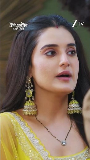 Jaane Anjaane Hum Mile | Ep 351 | Zee TV HD