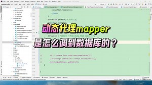 动态代理mapper是怎么调到数据库的？