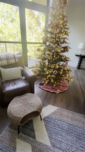 Surprising Christmas Tree Scene Unfolds in Living Room