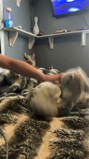 Ice Cube Dancing To Check Yo Self