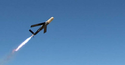 Watch: Coyote interceptor downs drone swarms with electromagnetic weapon