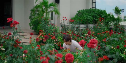 22K views · 686 reactions | Revamd: The Undead Story Episodio 4 [BL en Emisión] | ザ Daou | Facebook