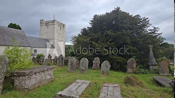 Ancient yew tree (Taxus baccata) in St. Cynog churchyard, Defynnog, near Sennybridge, Brecon, Wales, UK. Estimated 3000 years old, 11m girth. Slow pan from church to tree.