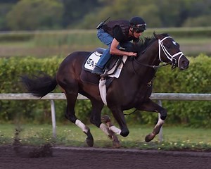 Always Dreaming Pleases Pletcher in Florida Move