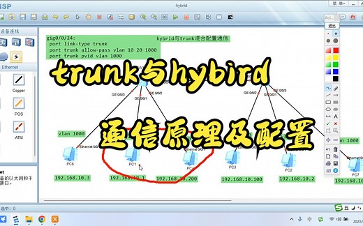 网络工程师基础一次搞懂trunk与hybrid通信原理及配置