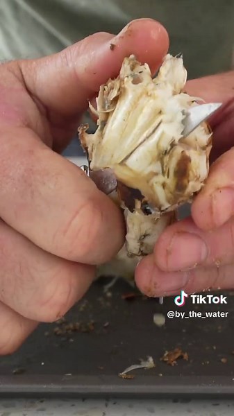 La Mejor Manera de Cocinar Cangrejos