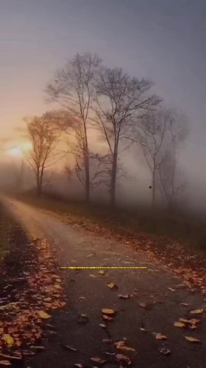 🙏🥺🎵❤️ #musita🙌Cristiana #🙏🙏🙏 #alabanzas_cristianas #jovenescristianos #amorpropio #diostebendiga #mujerdedios #cristianosporelmundo #hagamosviralajesuscristo