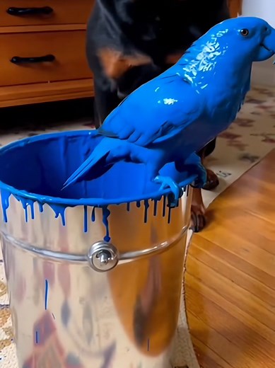 The Bad Dog: A Funny Episode of Canine Antics