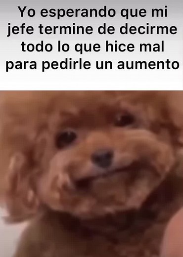 .flaca_014 (@.flaca_014)’s videos with Funny Song - Sounds Reel & Funny Song Studio & Thomas Hewitt Jones