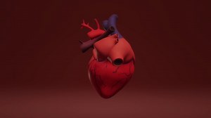 心臓 医療 Ecg（心電図） - Free video on Pixabay