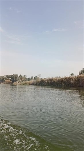 فيديوهات أنشأها ال فتلاوي 🌟 (@csv.61) باستخدام الصوت الأصلي - 🅣🅐🅗🅐 🅐🅛🅞🅑🅘🅓🅔